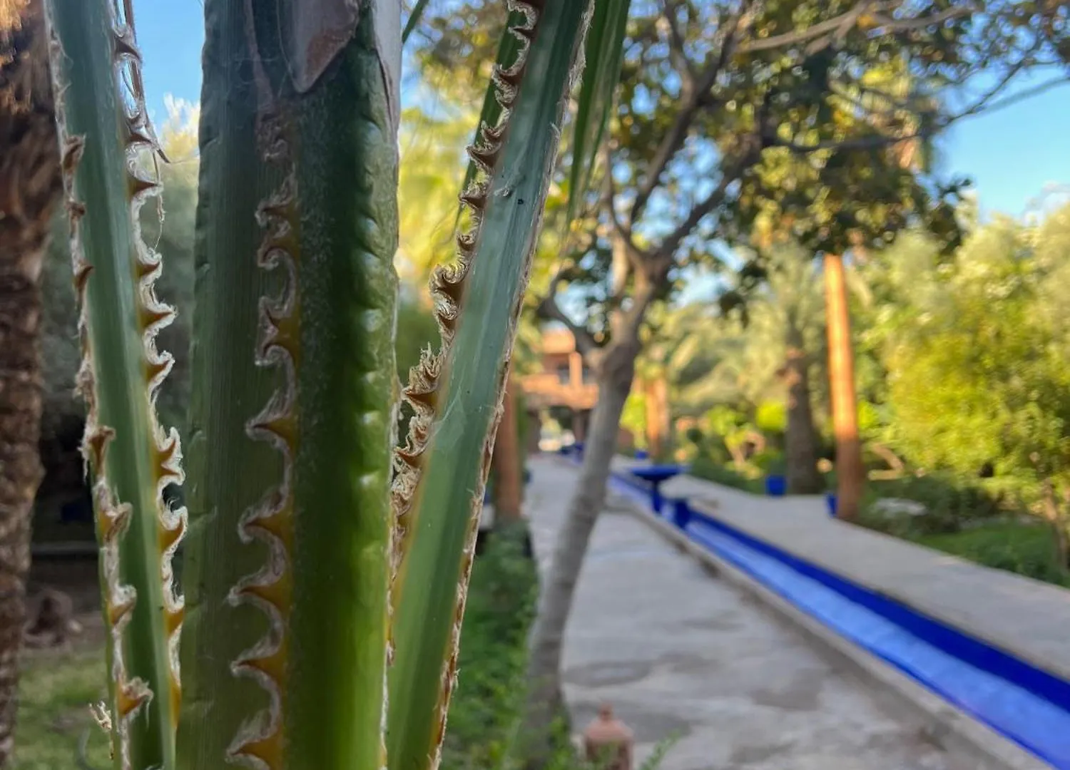 ****  Hotel L'Oliveraie Jnane Zitoune Marrakesz Maroko