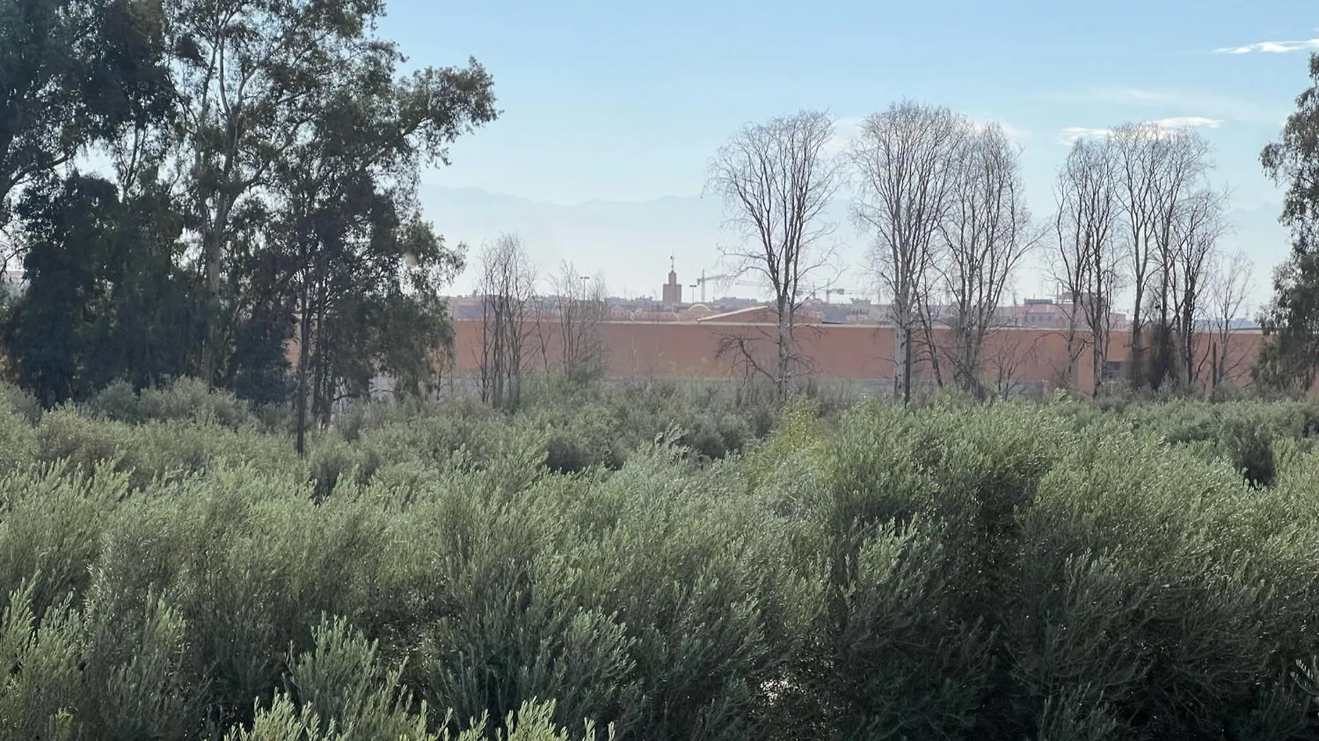 Hotel L'Oliveraie Jnane Zitoune Marrakesz Maroko