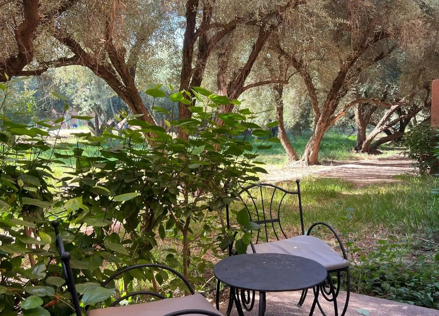 מרקש Hotel L'Oliveraie Jnane Zitoune