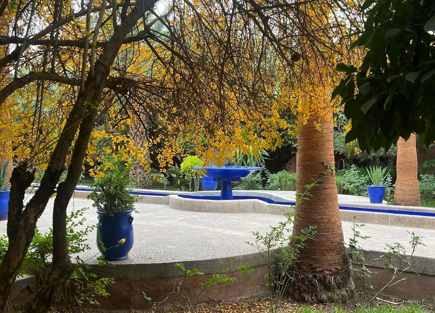 מרקש Hotel L'Oliveraie Jnane Zitoune