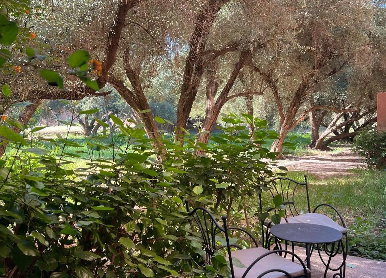 ****  מרקש Hotel L'Oliveraie Jnane Zitoune מרוקו